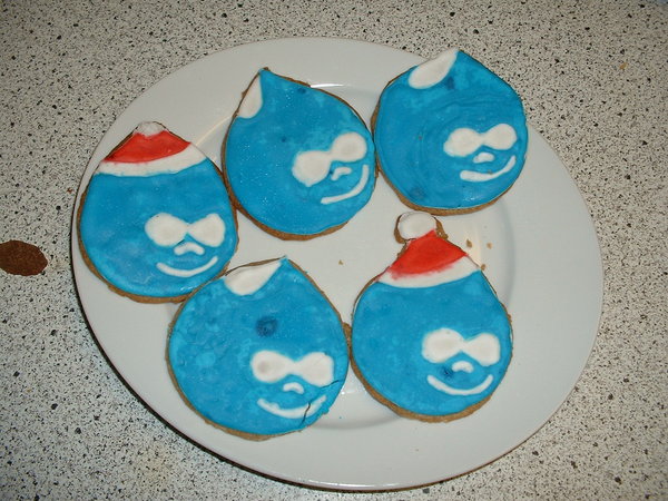 Druplicon cookies (looks like she saw my Drupalcamp Montreal shirt!)
