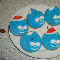 Druplicon cookies